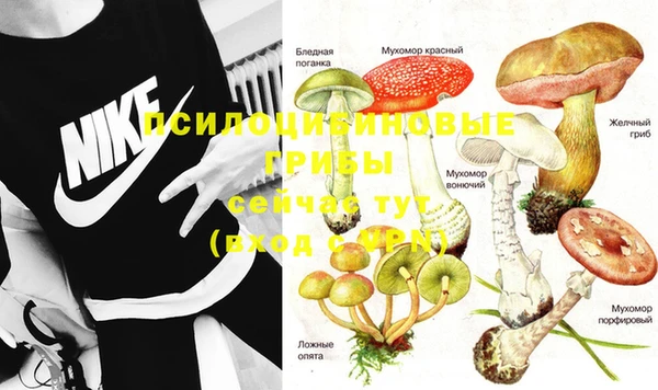 Альфа ПВП Билибино